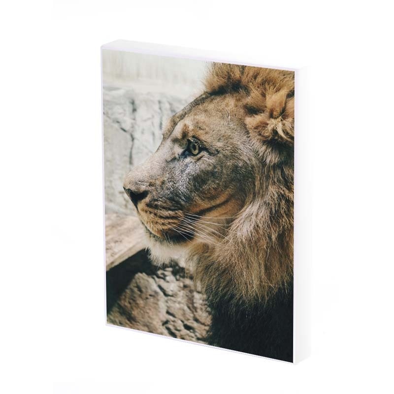 Tablou Canvas, Calm, 50x30 CM, D268A