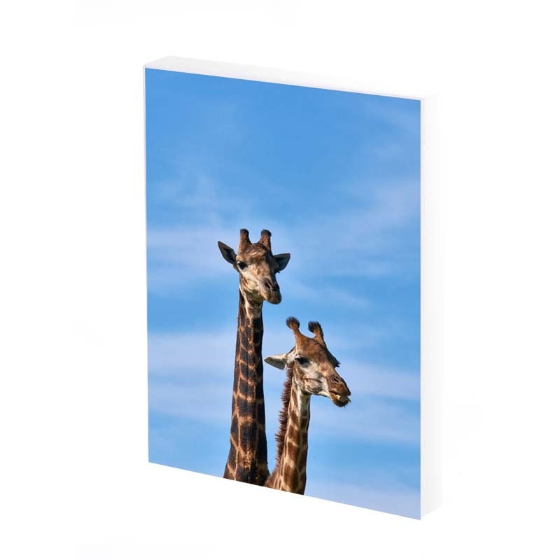 Tablou Canvas, Girafa, 50x30 CM, D260A