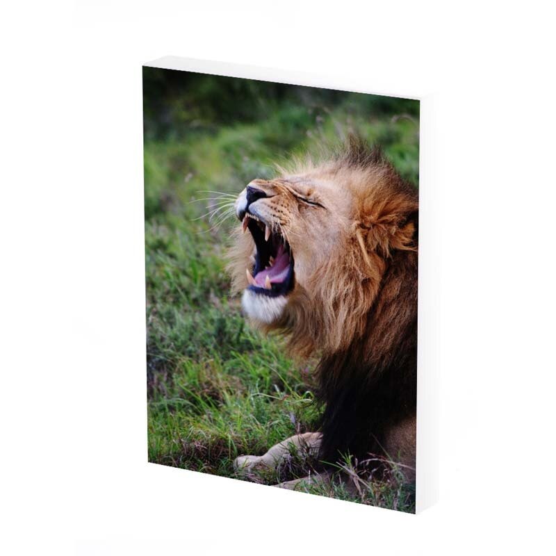 Tablou Canvas, cascat , 35x25 CM, D376A