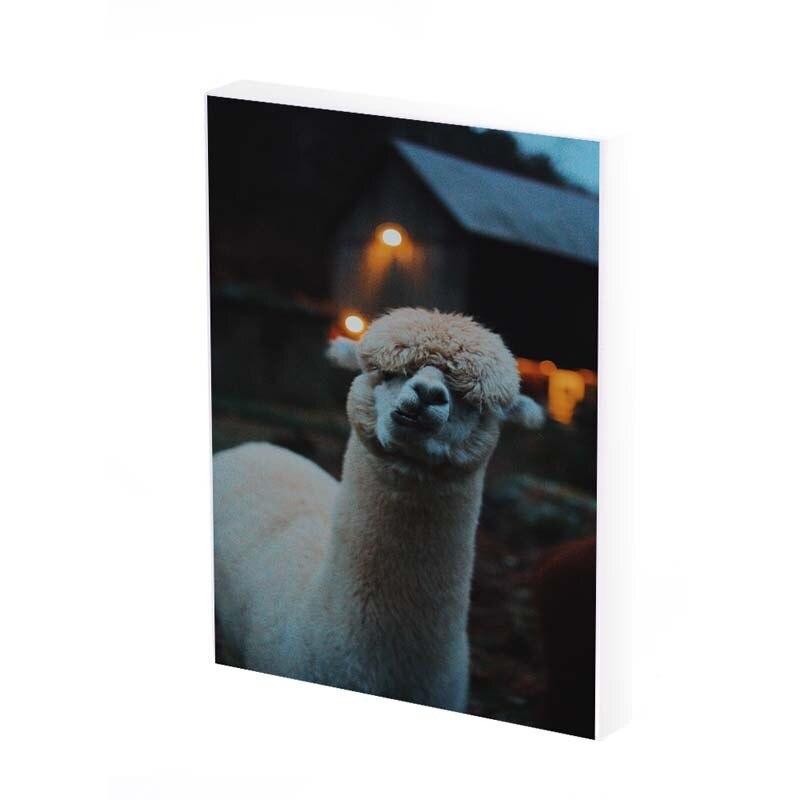 Tablou Canvas, Capra, 35x25 CM, D347A