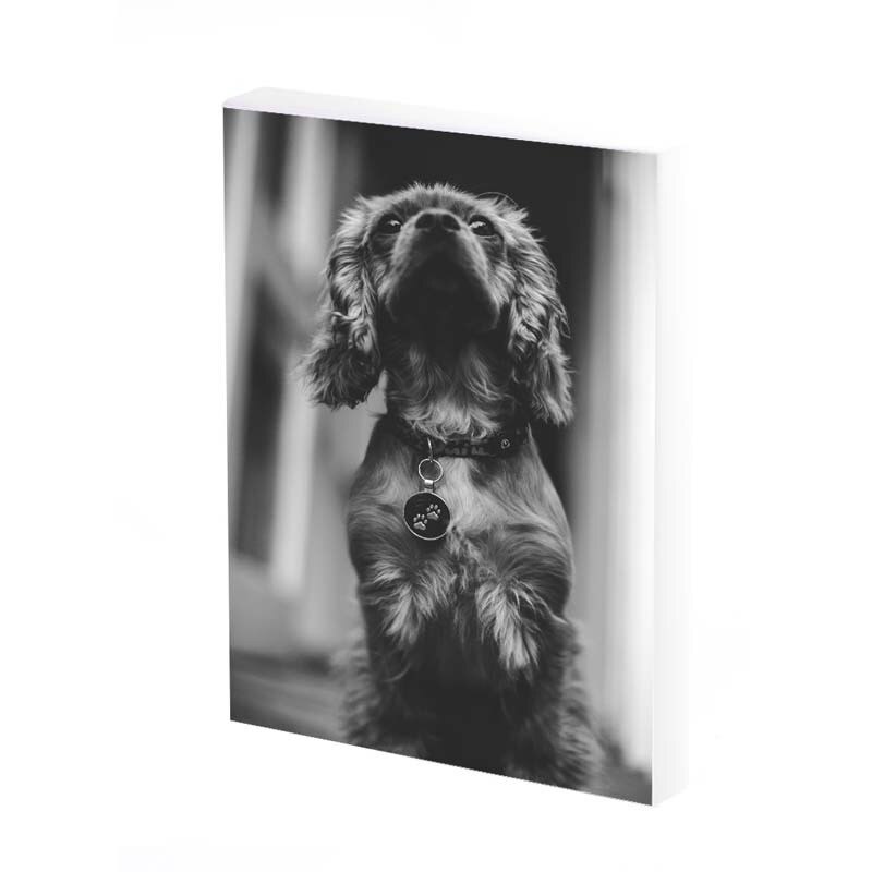 Tablou Canvas, cerb, iarna, 50x30 CM, D387A