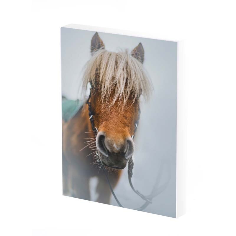 Tablou Canvas, horse in the fog , 35x25 CM, D379A