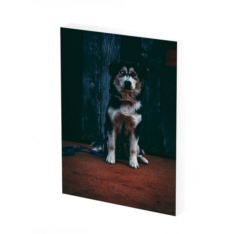 Tablou Canvas, play with me , 50x30 CM, D378A