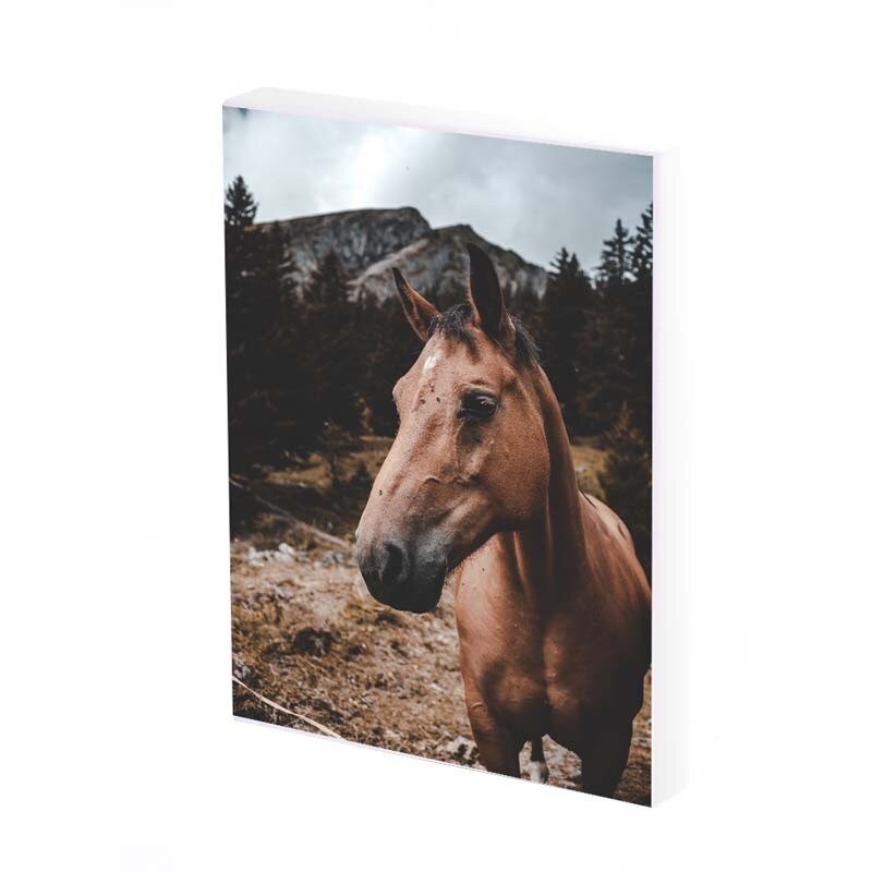 Tablou Canvas, Cal trist, 35x25 CM, D356A