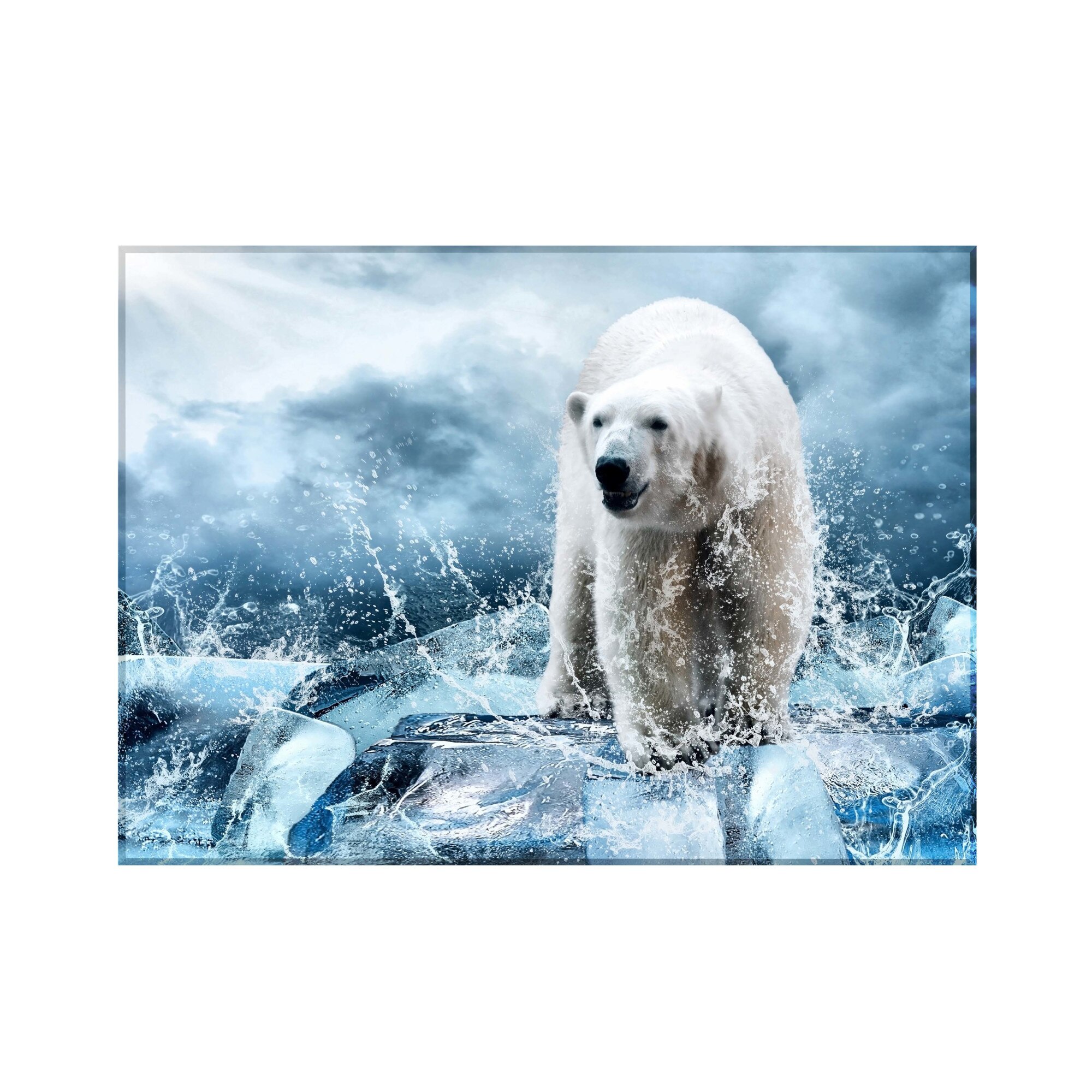 Sticla bucatarie securizata Saint Gobain Glass®, imprimata 90x65cm, protectie antistropire pentru aragaz, Ambra Deco Animale urs