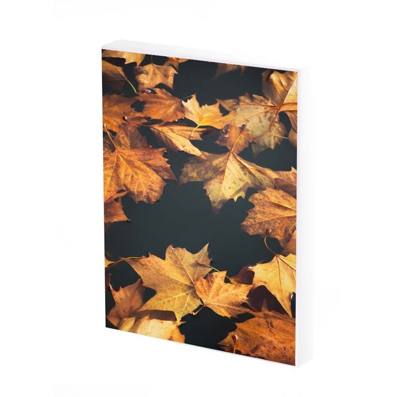 Tablou Canvas, frunze galbene, 50x30 CM, D455A