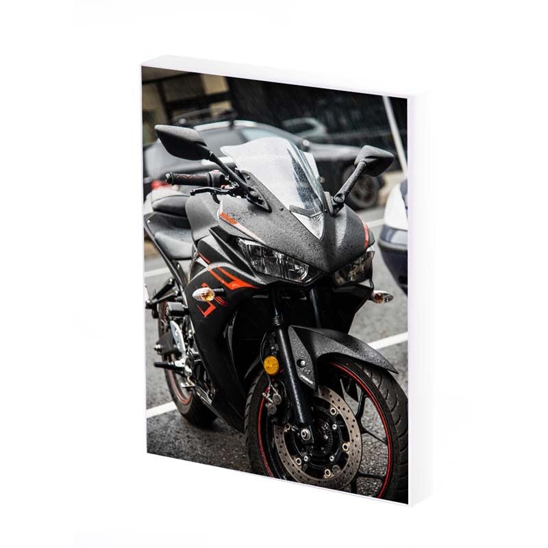Tablou Canvas, Motorbike, 35x25 CM, D420A