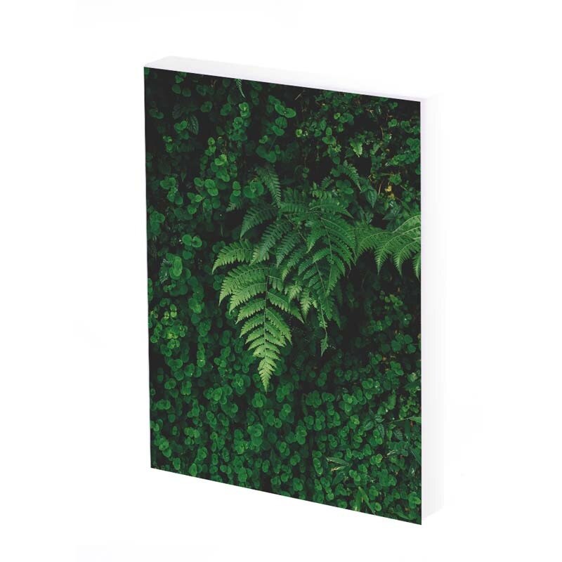 Tablou Canvas, feathers, 35x25 CM, D493A