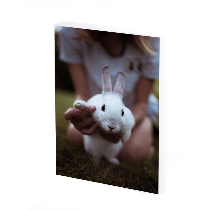 Tablou Canvas, bunny, 50x30 CM, D491A