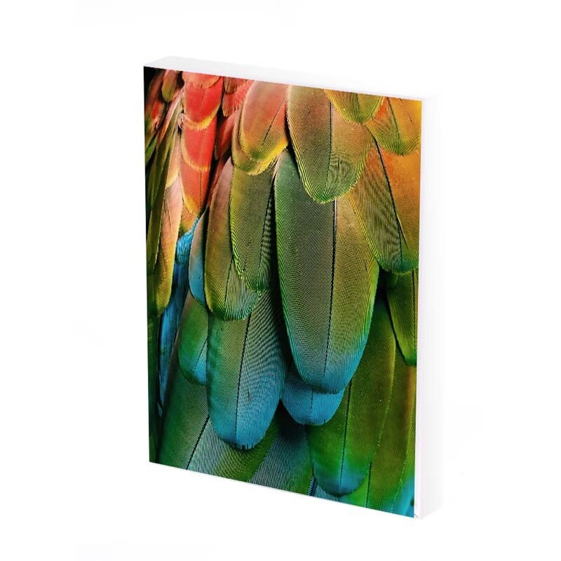 Tablou Canvas, verde, 35x25 CM, D477A