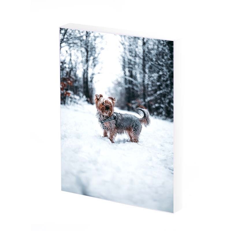 Tablou Canvas, Snowy Yorkshire, 35x25 CM, D425A