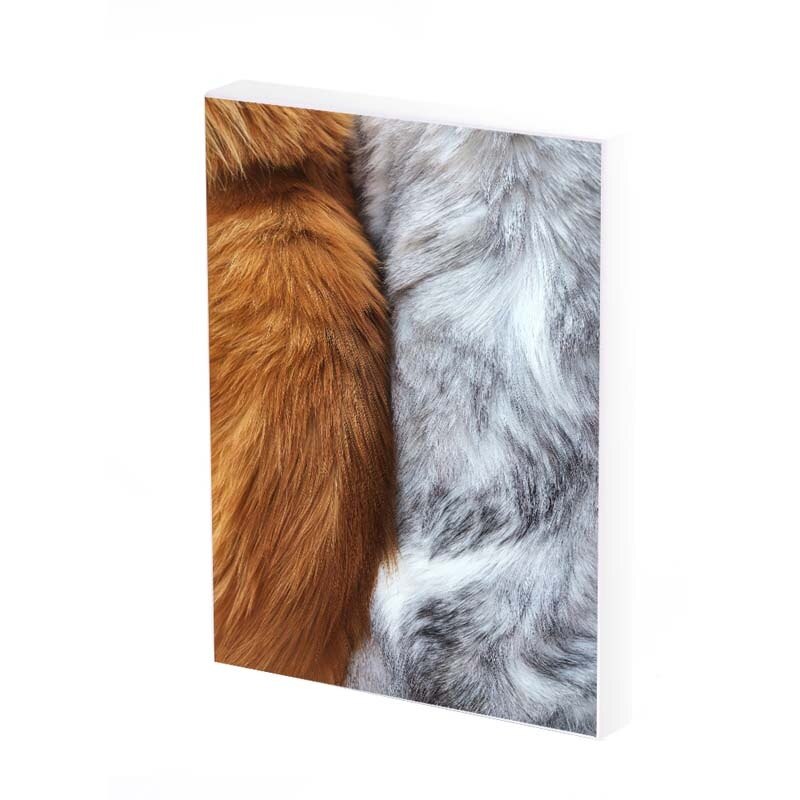 Tablou Canvas, Red&Gray, 40x30 CM, D418A