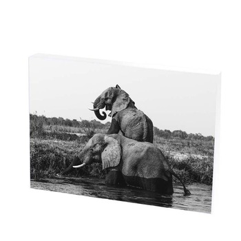 Tablou Canvas, Elefant, 30x40 CM, D48F Tablou Canvas, Elefant, 30x40 CM, D48F