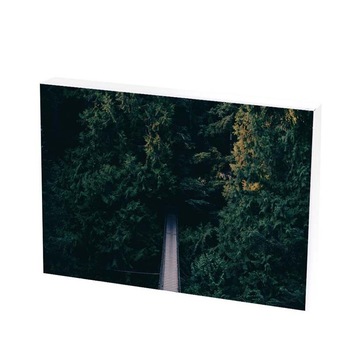 Tablou Canvas, pod, 25x35 CM, D35F Tablou Canvas, pod, 25x35 CM, D35F