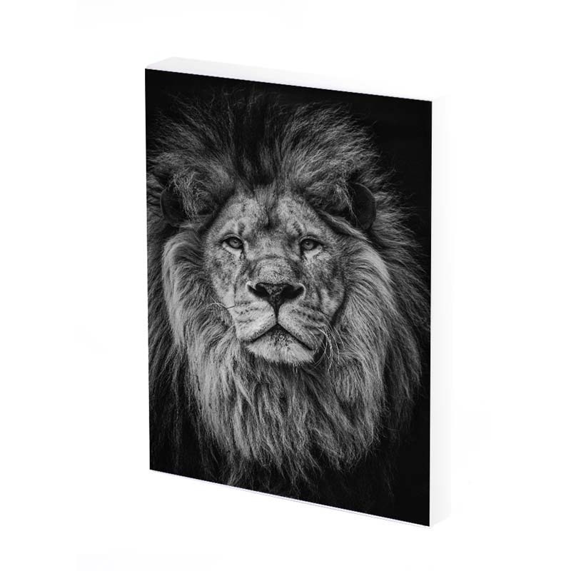 Tablou Canvas, Leu B&W, 40x30 CM, D396A