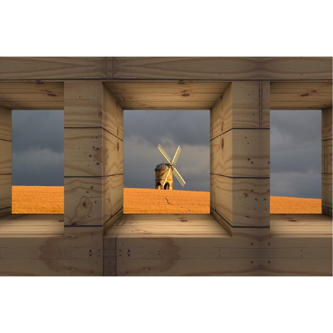 Tablou canvas Natura 14, 45 x 30 cm