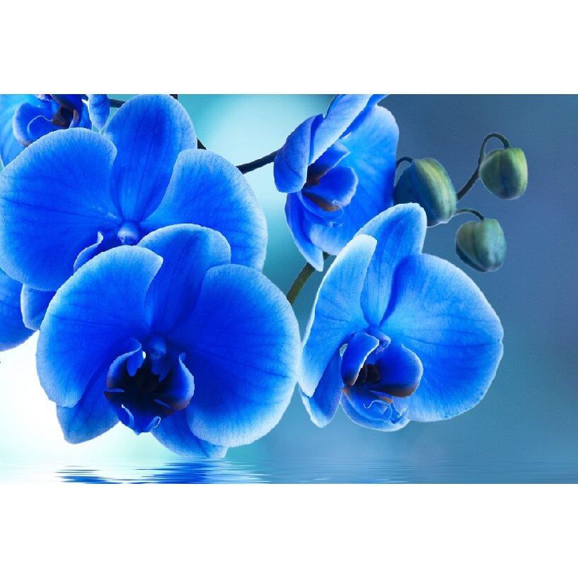 Tablou canvas Flori 16, 60 x 40 cm