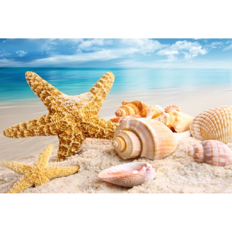 Tablou canvas Natura 20, 45 x 30 cm