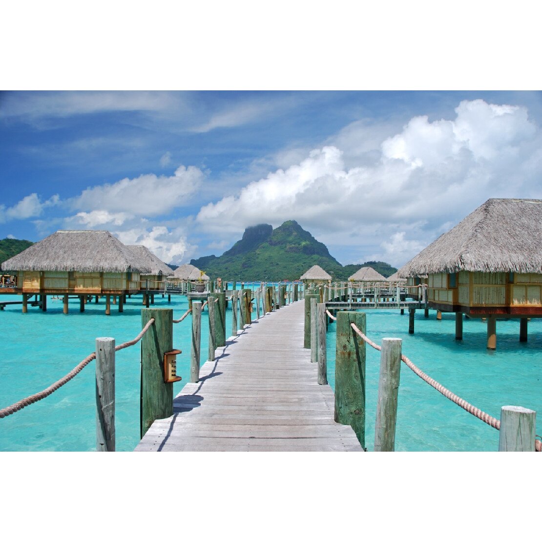 Tablou canvas Natura 17, 105 x 70 cm