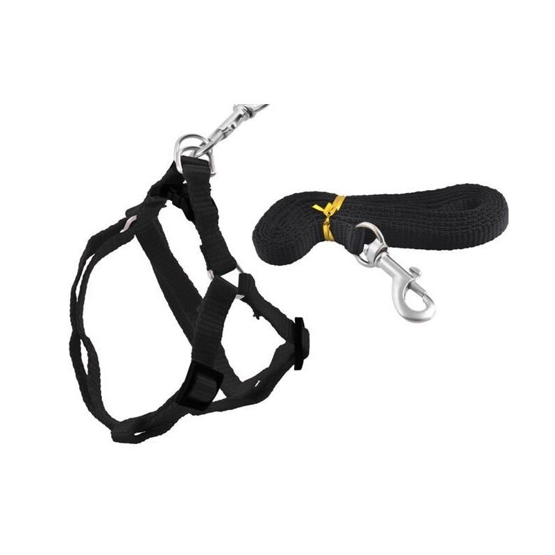 Set Ham + Lesa Pentru Caini, Negru