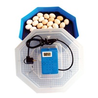 incubator oua cleo 5 mn-9053 60 oua gaina 150 prepelita imagen 24_0_
0