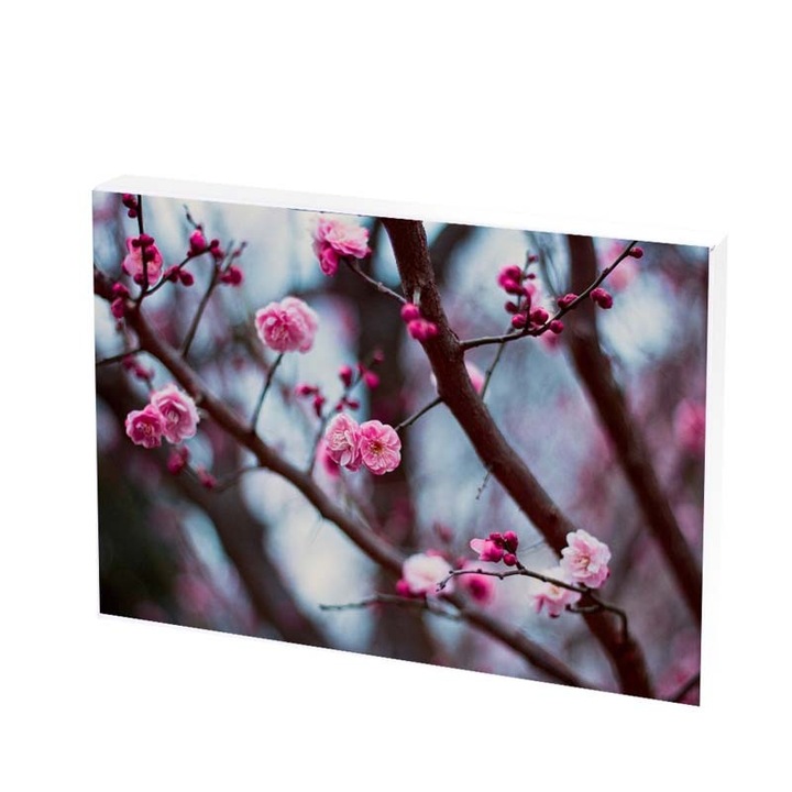 Tablou Canvas, flori, 20x25 CM, D113F