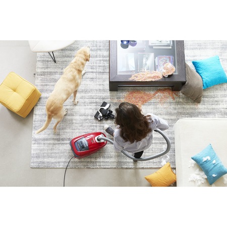 Aspirator cu sac Rowenta Silence Force Home & Car Pro RO7783EA, 450W, Clasa A+ , 4.5l, Tehnologia Efitech, Sac Hygiene+, Rosu