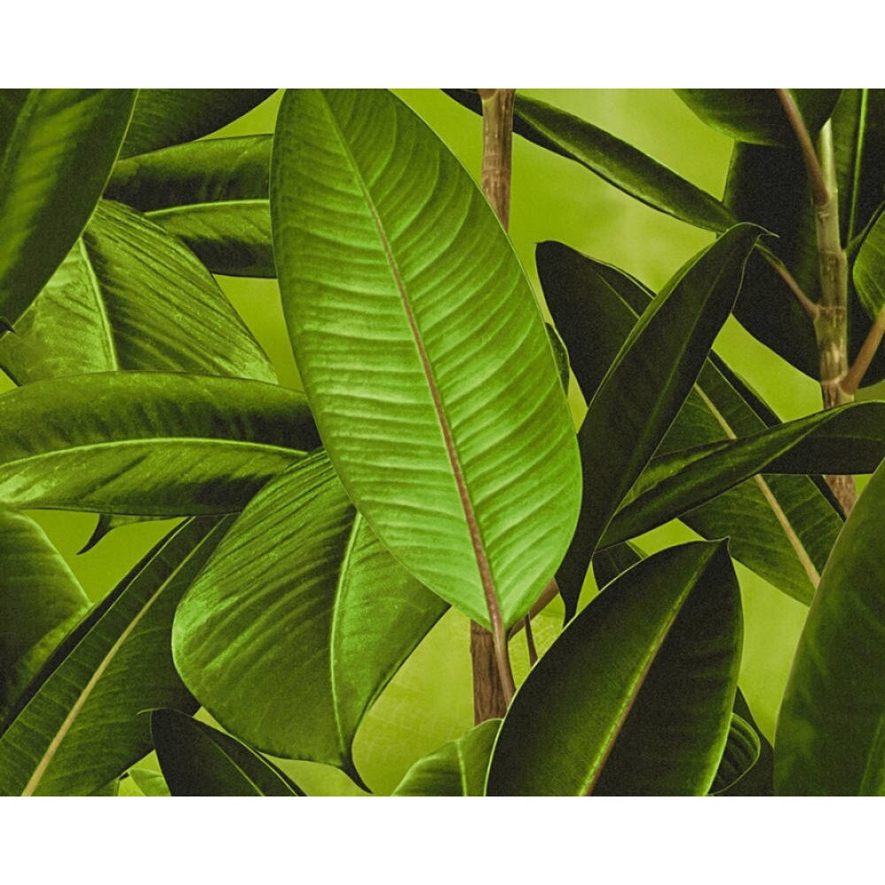 Tapet colectia AS Bude, Superlavabil, Vlies, 0.53 m x 10.05 mp = 5.3 mp, 362011