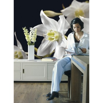 Fototapet natura Komar 4-259, Madonna 254 x 184 cm Fototapet natura Komar 4-259, Madonna 254 x 184 cm