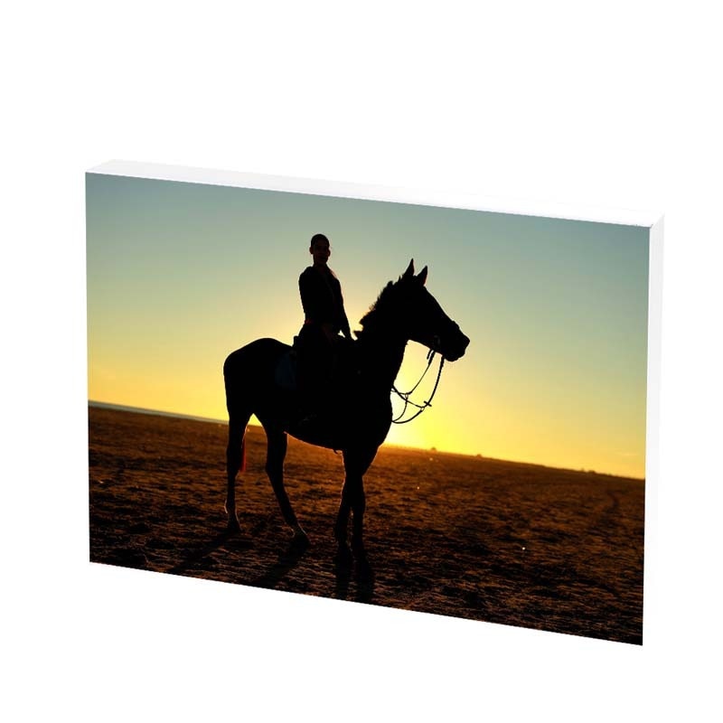 Tablou Canvas, horse riding, 25x35 CM, D82F