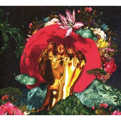 Rina Mushonga - In A Galaxy (CD)