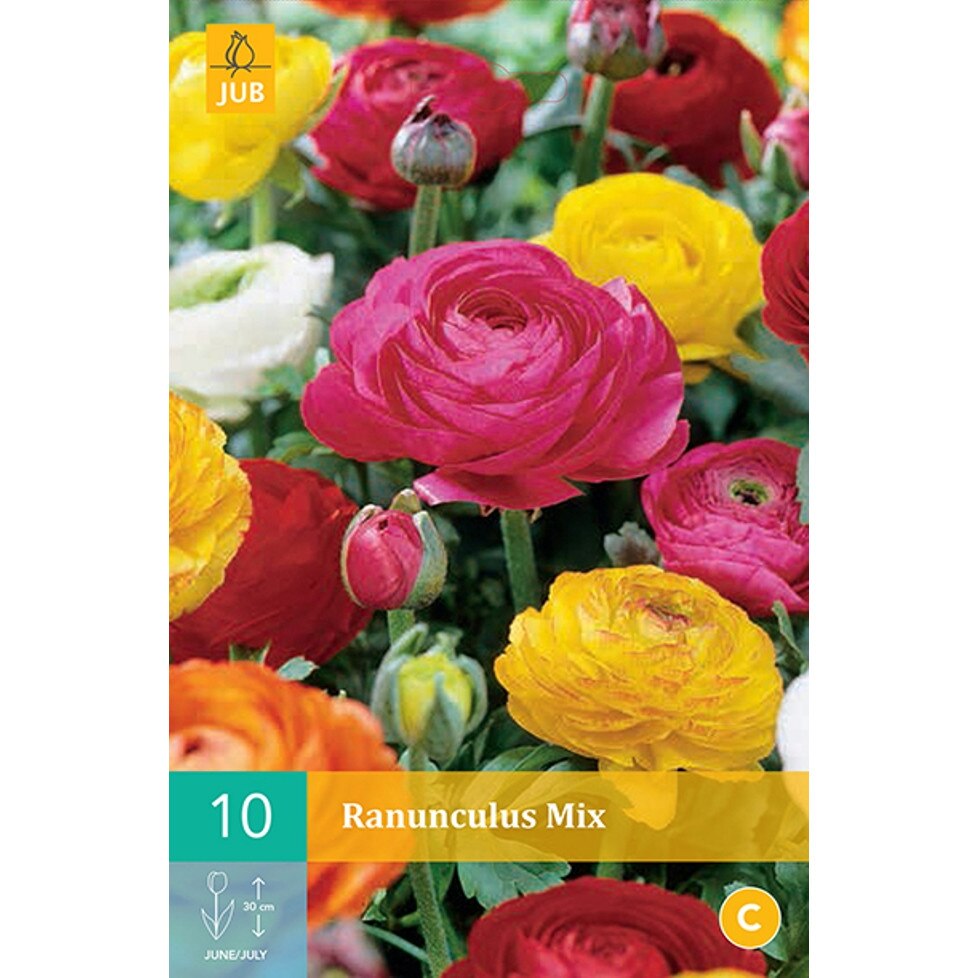 Bulbi Ranunculus Mix, Holand, 10 buc