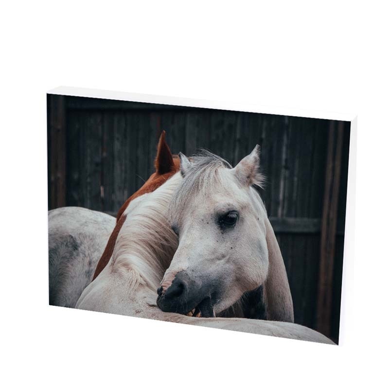 Tablou Canvas, horse love, 25x35 CM, D272F