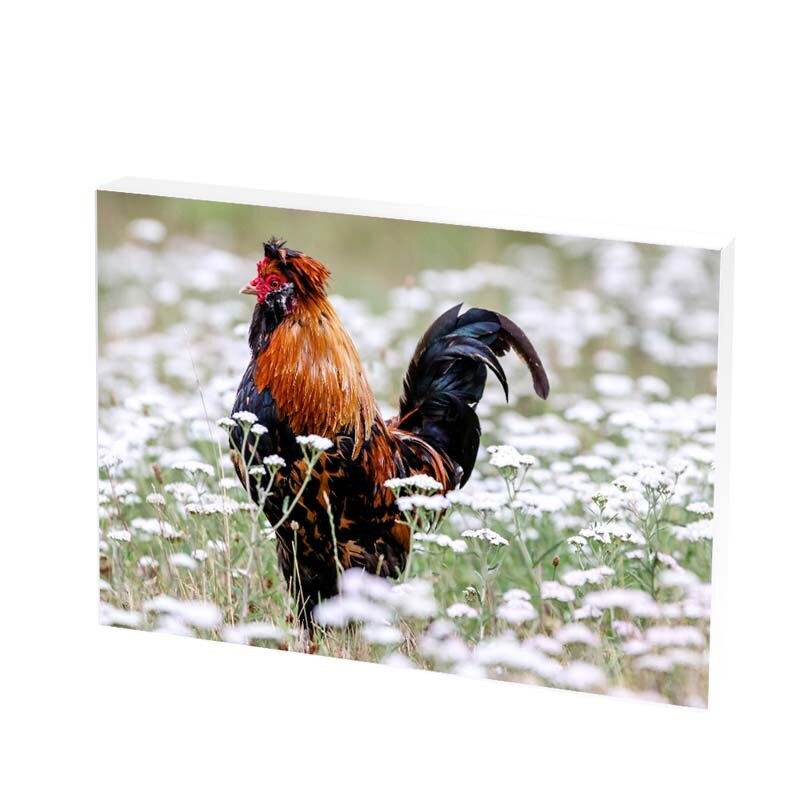 Tablou Canvas, the boss, 30x50 CM, D278F