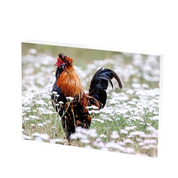 Tablou Canvas, the boss, 30x50 CM, D278F Tablou Canvas, the boss, 30x50 CM, D278F