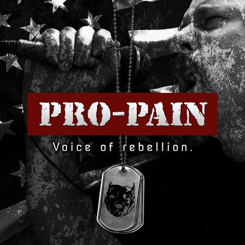 Pro Pain - Voice Of Rebellion [LP] (vinyl)