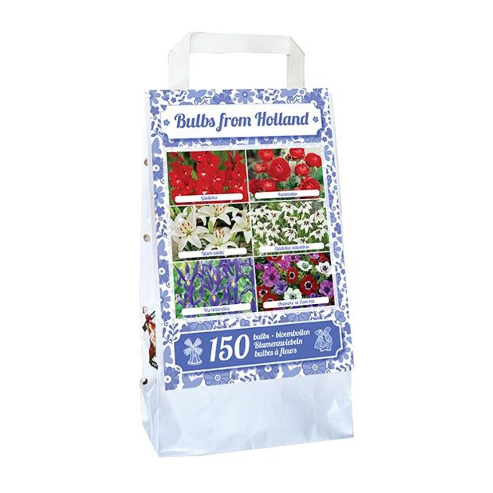 Bulbi Bulbs from Holland Mix, Holland, Maxi Pack, 150 buc eMAG.ro