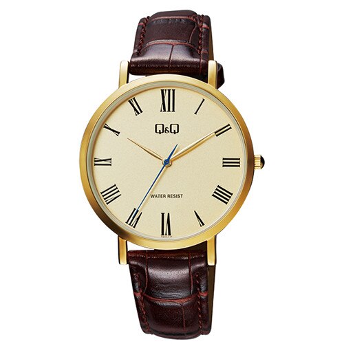 Ceas barbatesc Q&Q QA20J117Y