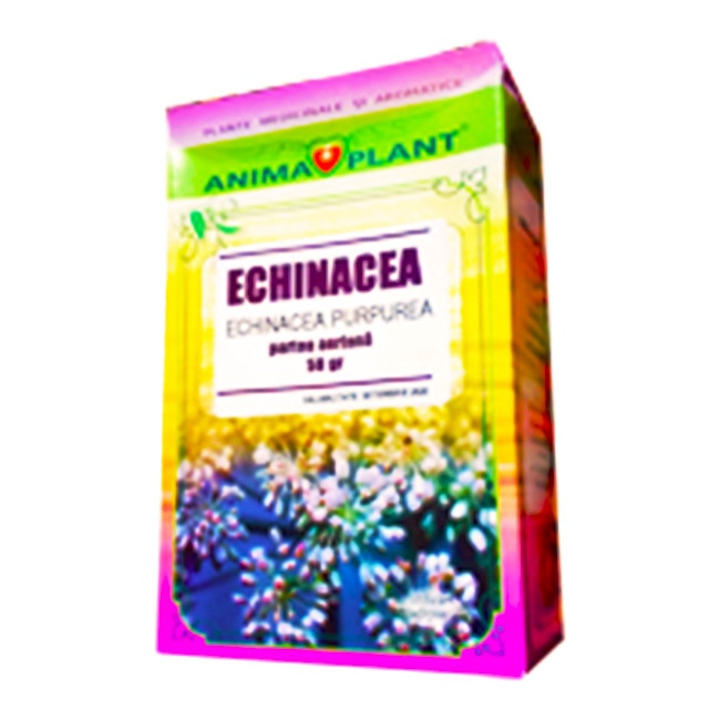 Echinacea, Echinacea purpurea, partea aeriana, planta pentru ceai, 50 grame
