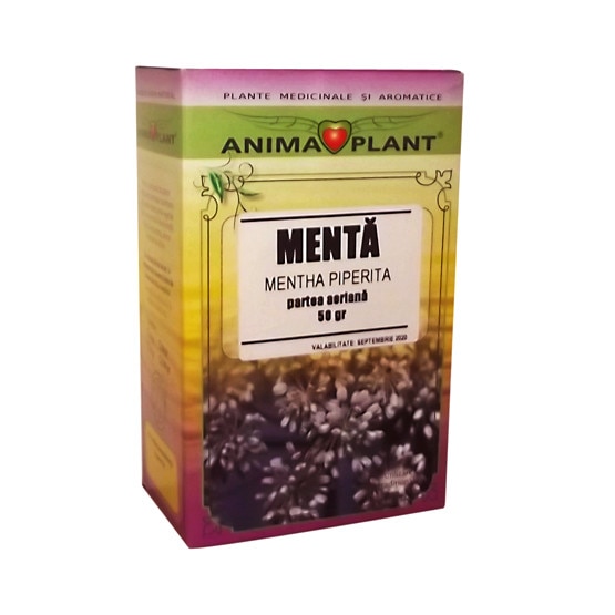 Menta, Mentha piperita, planta pentru ceai, Anima Plant, 50 g