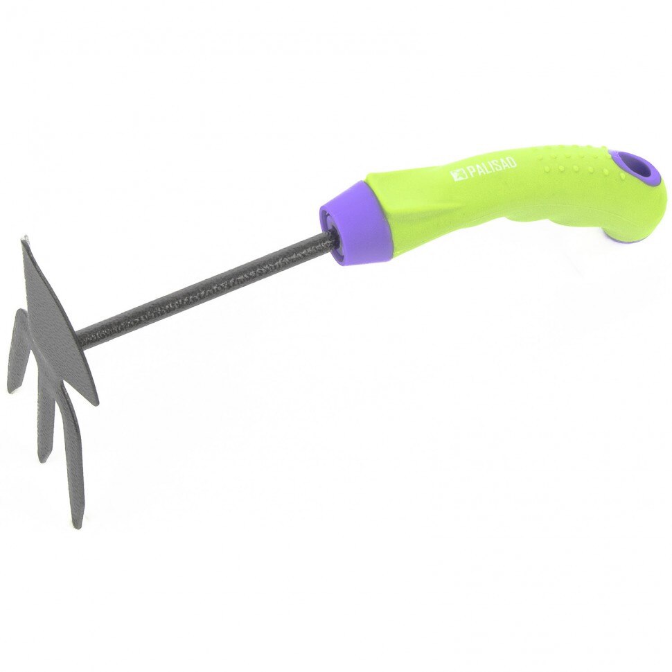 Sapaliga combinata, profil 