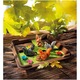 Joc Smart Games - Squirrels go Nuts!