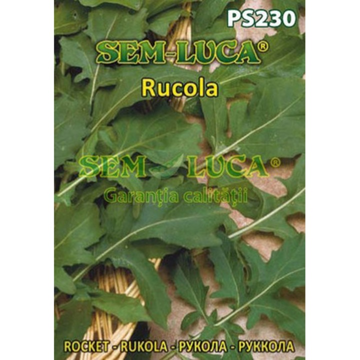 Seminte legume, Rucola, Sem-Luca, 1g