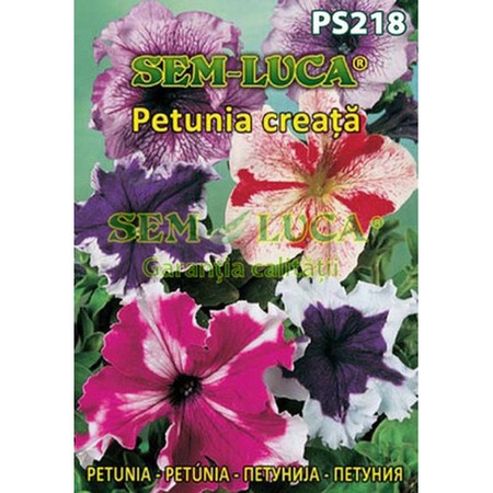 Seminte Flori Petunia Creata Sem Luca 0 05g Emag Ro