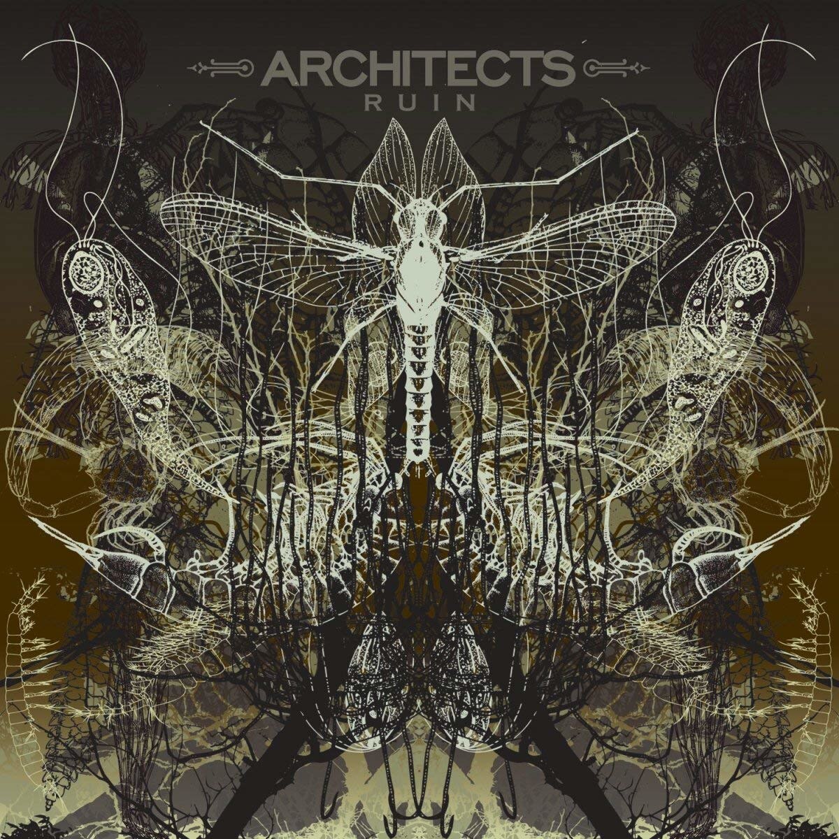 Architects UK - Ruin - CD