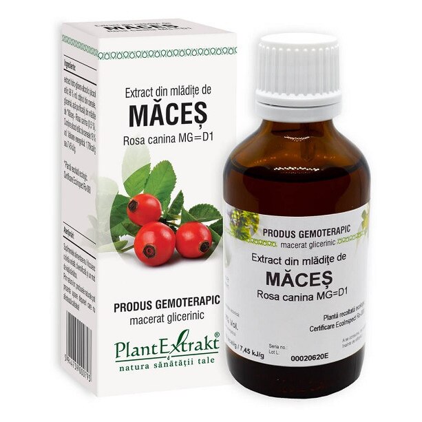 Extract din mladite de Maces 50 ml Plant Extrakt