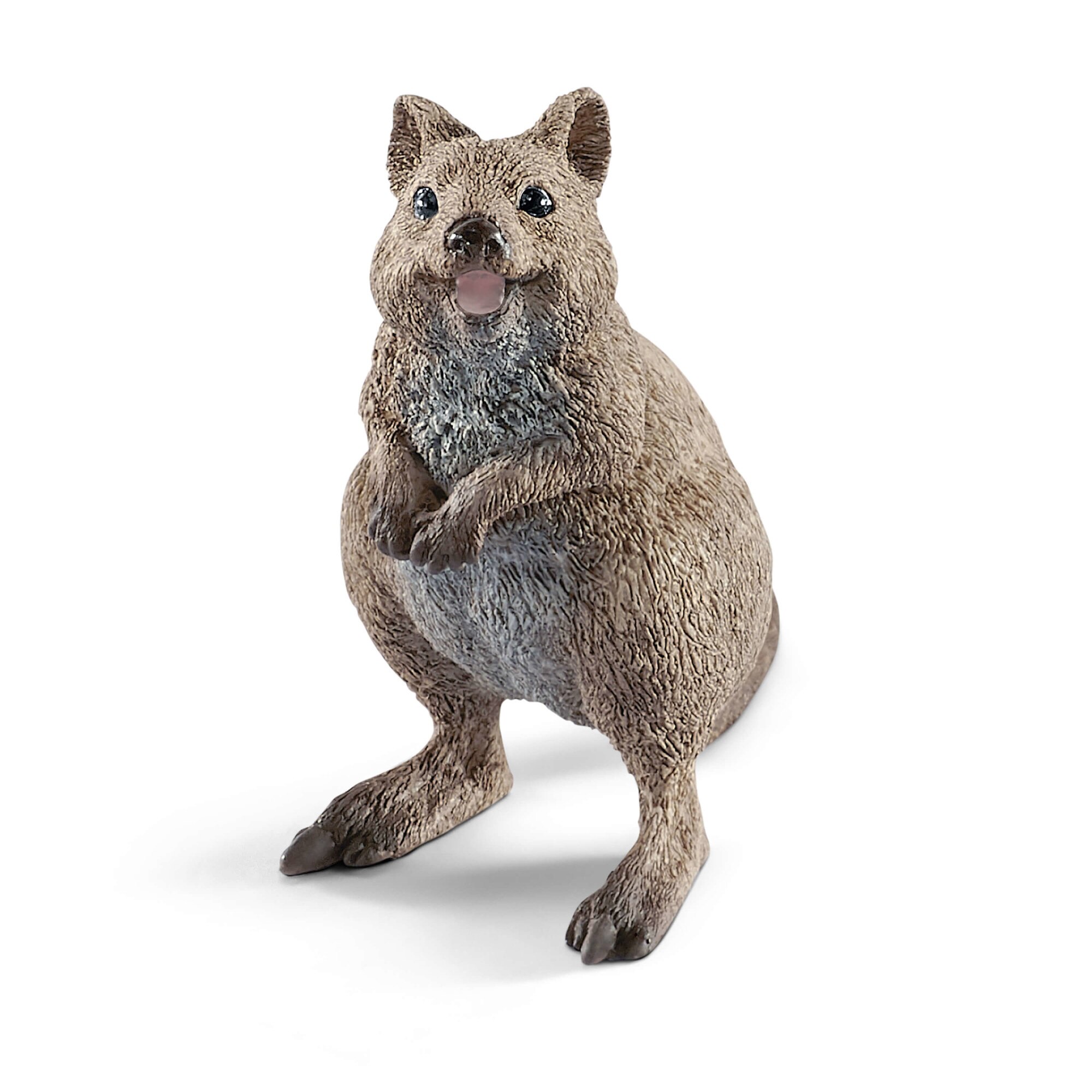 Figurina Schleich Quokka - 14823