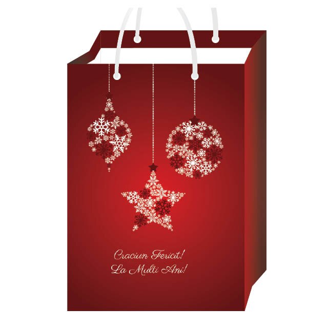 Set 25 Pungi Cadou Globe&Stars GP026 25X35X8 cm