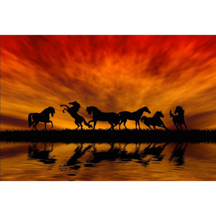 Fototapet Cai in apus de soare (380 x 255 cm)