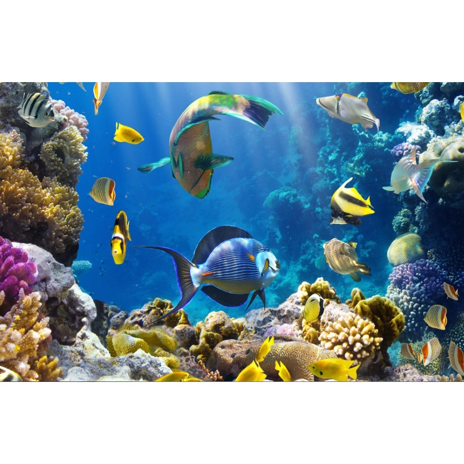 Fototapet din autocolant de perete Lumea din adancuri 270 x 200 cm